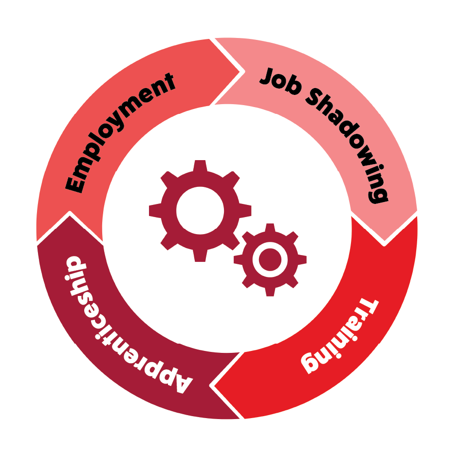 industry wheel infographic: job shadowing, training, apprenticeship, employment